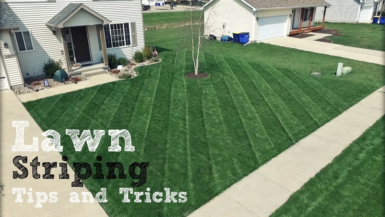 Perfectly mowed lawn with stripes