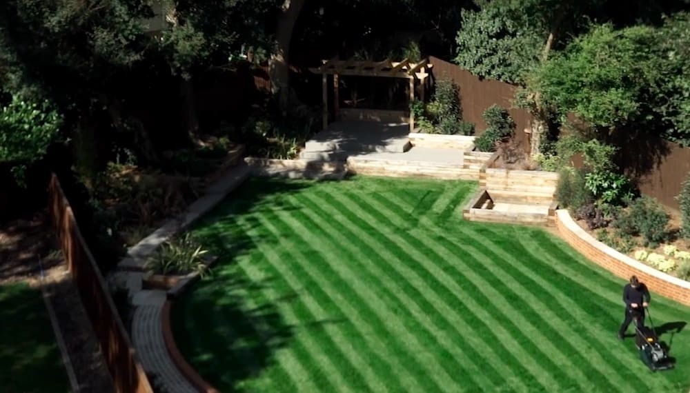 Hedge Trimming & Lawn Mowing work example 2
