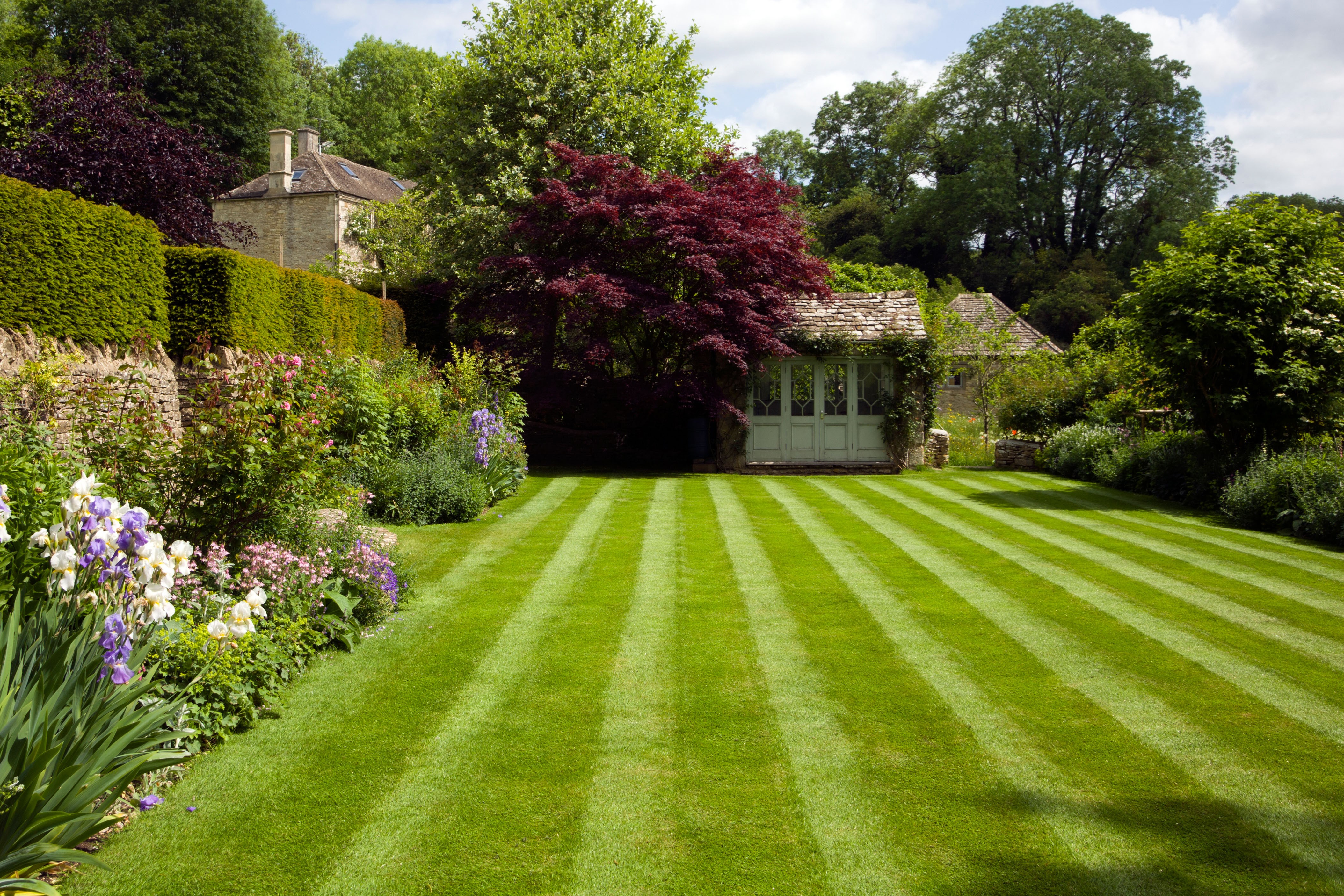 Hedge Trimming & Lawn Mowing work example 3