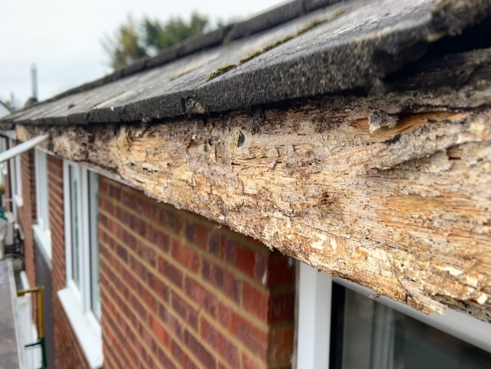 Repair Fascia work example 1