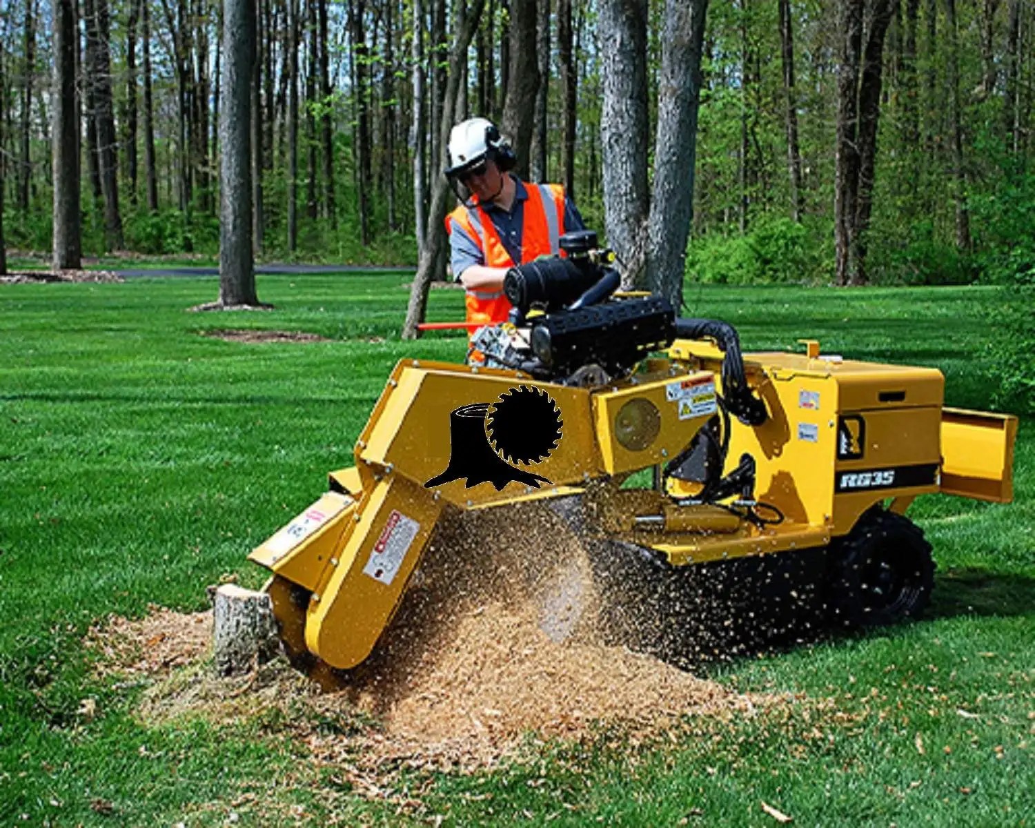Tree Surgery & Tree Removal work example 2