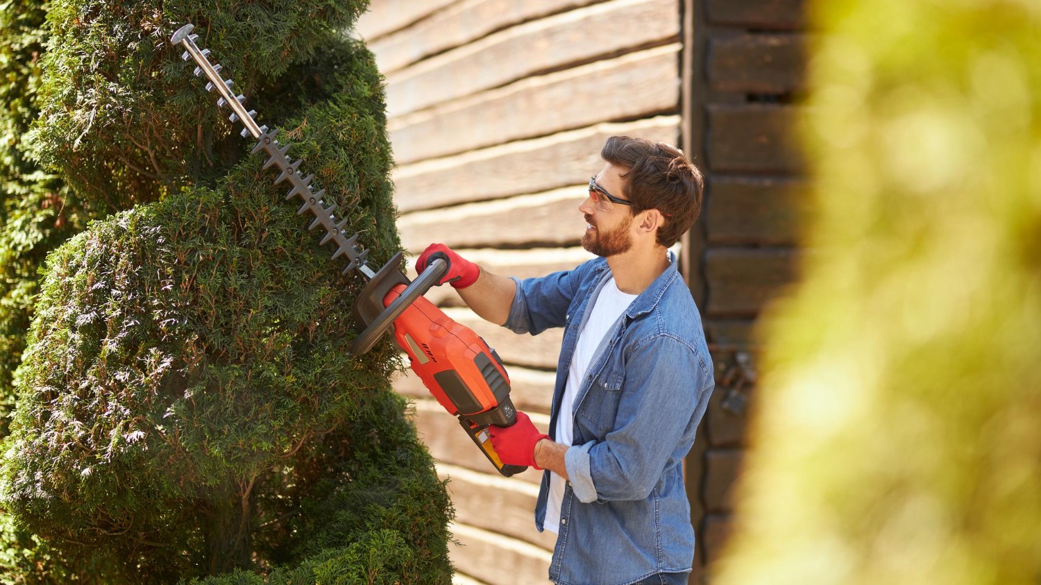 Professional hedge trimming result