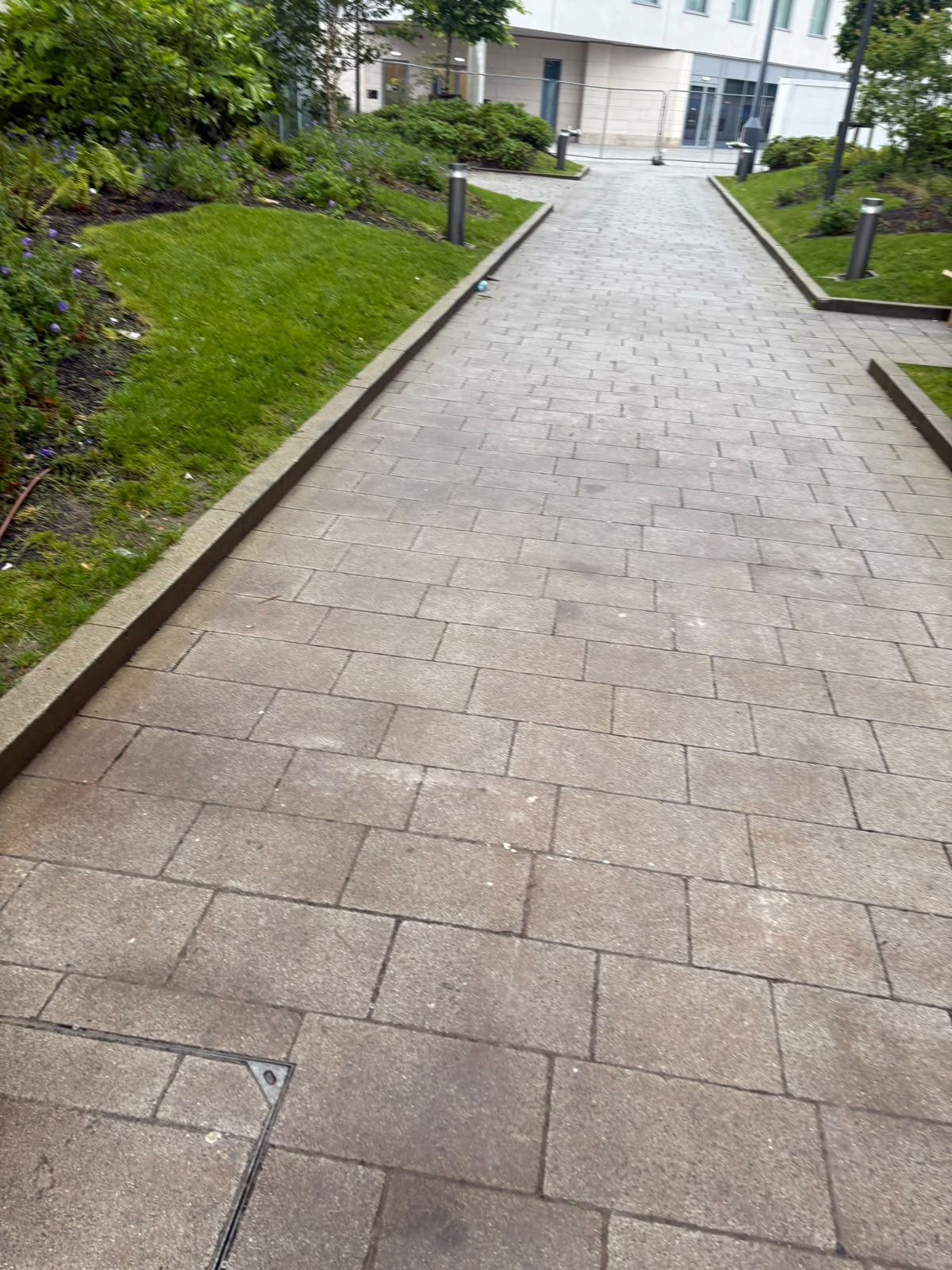Patio & Path Cleaning project 2