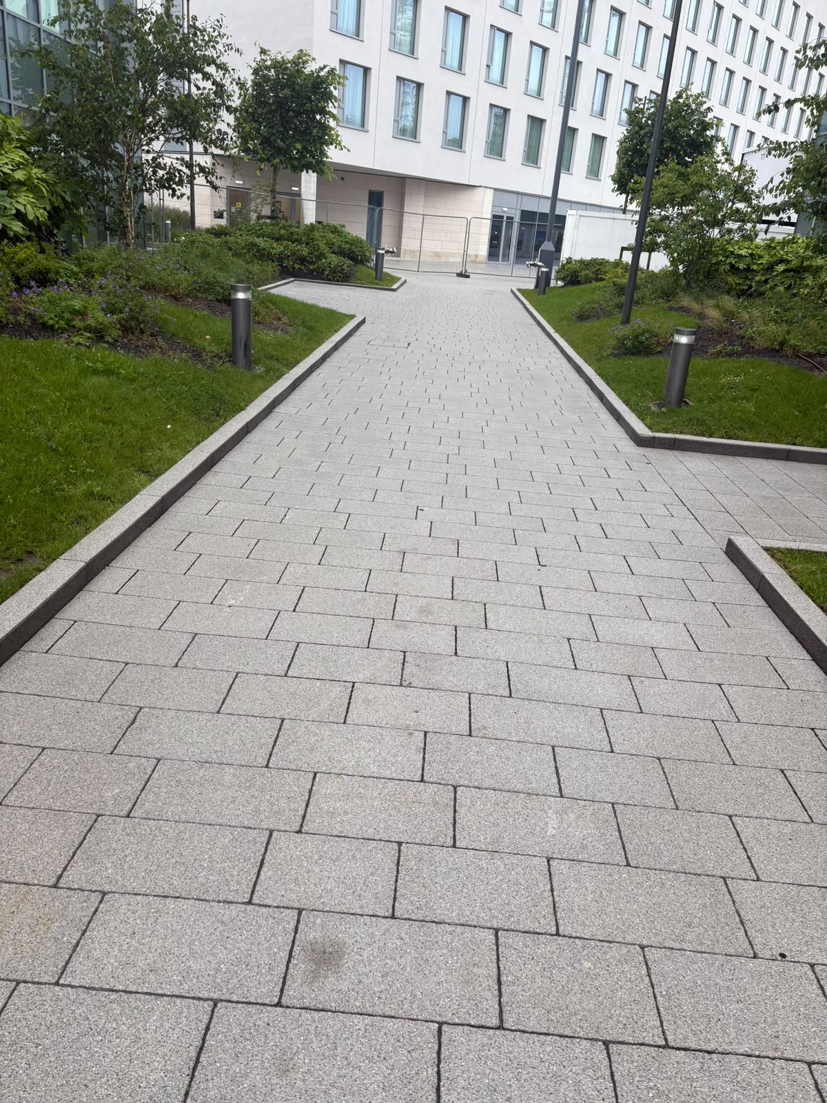 Patio & Path Cleaning