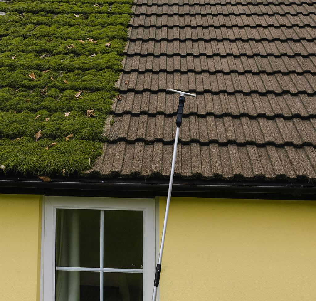 Roof Cleaning & Moss Removal project 3